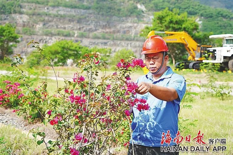 海南這座礦山，為何這么綠？4.jpg
